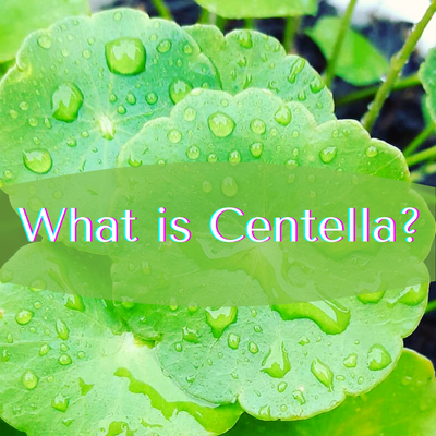 Skincare 101: What is Centella?