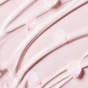 Innisfree Jeju Cherry Blossom Glow Tone-up Cream 50ml